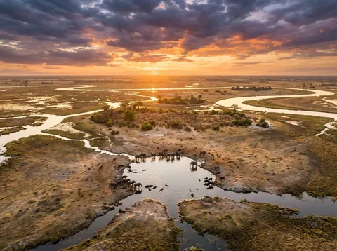 오카방고 델타 (Okavango Delta)