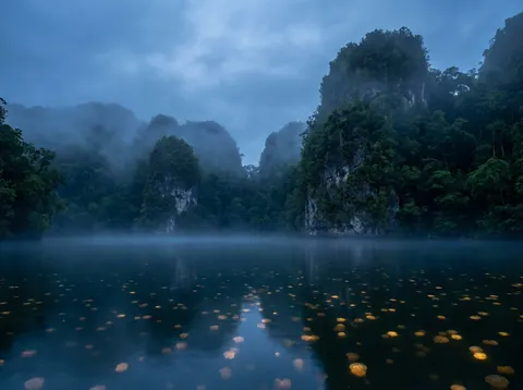젤리피쉬 호수 (Jellyfish Lake / Ongeim'l Tketau)